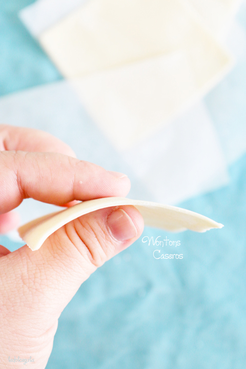 La Dolce Gula - Wontons Caseros 02