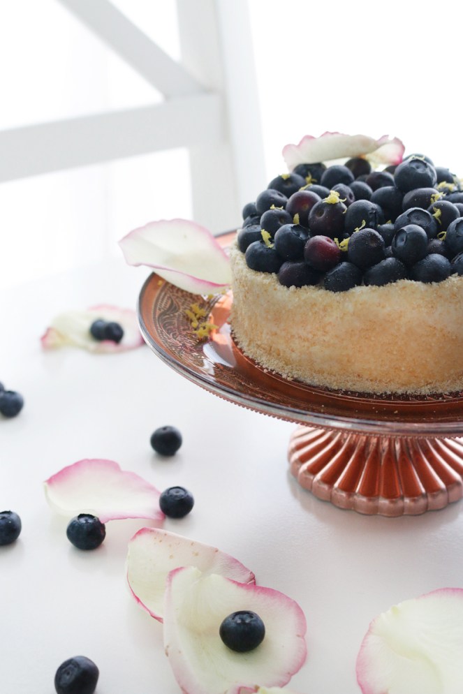 IMGASTRO-BCHEESECAKE-PRINCIPAL7