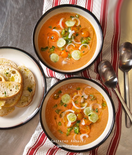 Gazpacho-Andaluz