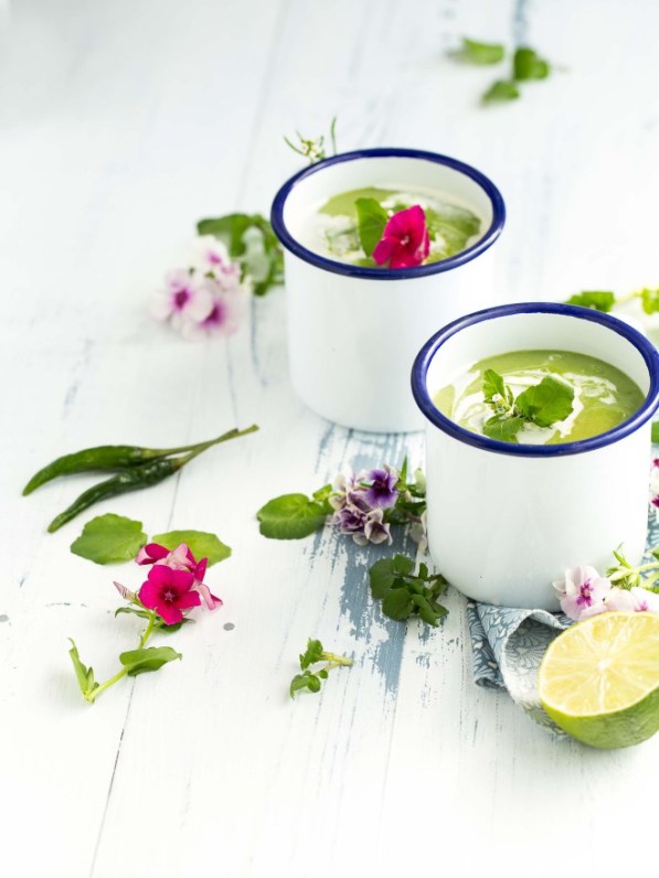 soupe-avocat-cresson